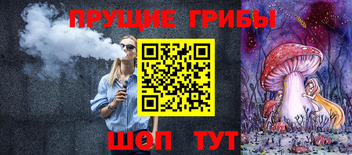 Псилоцибиновые грибы Psilocybine cubensis Сызрань